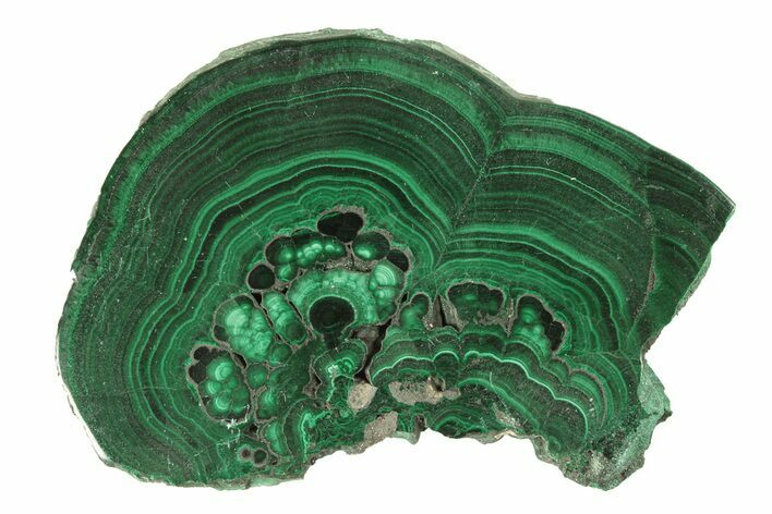 Polished Malachite Slab - DR Congo #264836